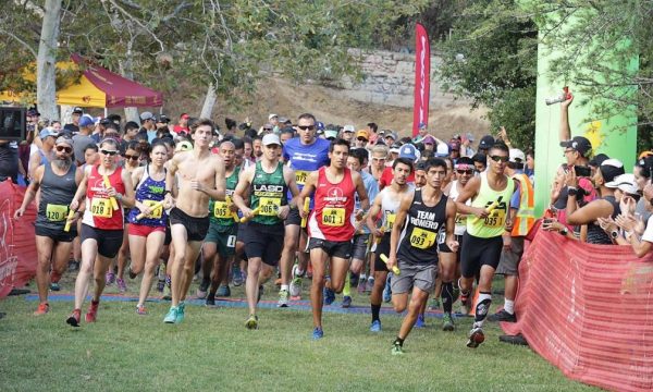 griffith park marathon relay, trail race