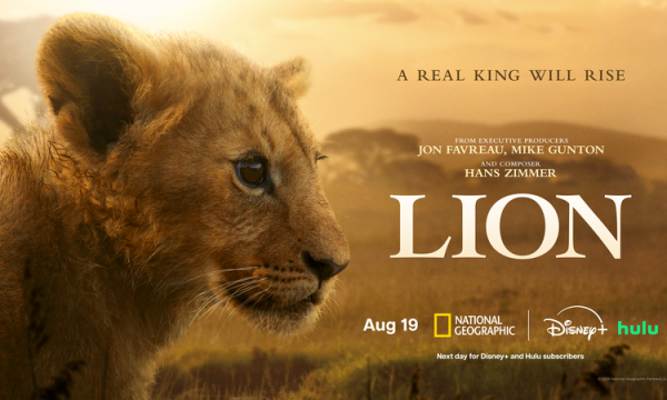 National Geographic lion
