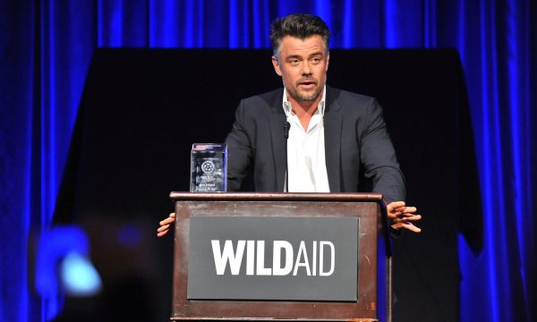 Evening With WildAid - Arrivals