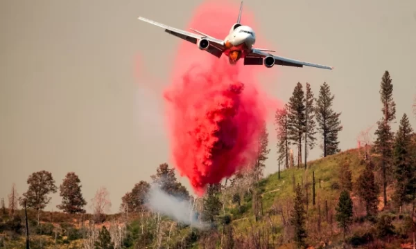 yosemite oak fire