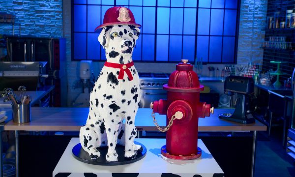 bake squad, dog cake, cakes, dessert