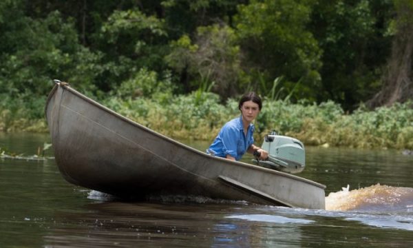 taylor swift, where the crawdads sing