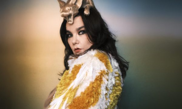 bjork art