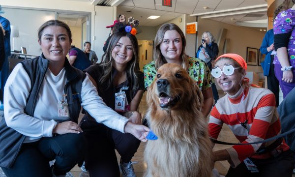 helen woodward animal center halloween pet adoption