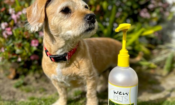 wen pet cleansing conditioner, dog adoptions