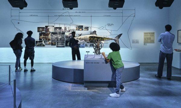 Exhibition Photography for JAWS: The Exhibition, on Sunday, September 7, 2025 at the The Academy Museum of Motion Pictures in Los Angeles.