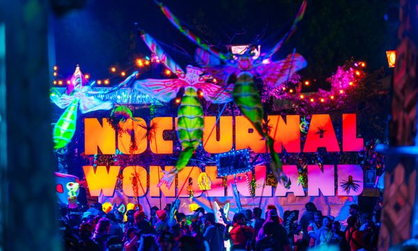 Jess Gallo for Nocturnal Wonderland
