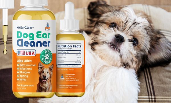 K9 EarClear dog ear infection