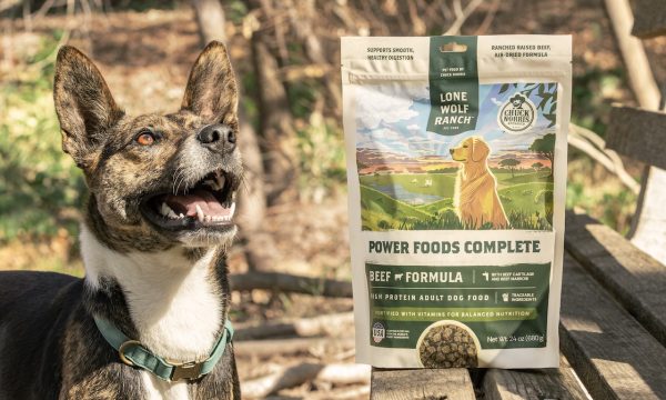 Lone Wolf Ranch Power Foods Complete is a revolutionary air-dried dog food inspired by the natural, ancestral diets of wild canines. This complete and balanced formula is designed to fuel your dog’s energy, strength, and longevity using premium cuts of, ranch-raised beef and a powerful blend of nutrient-dense organ meats, vegetables, and superfoods.