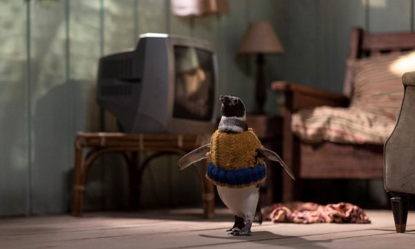 My Penguin Friend movie