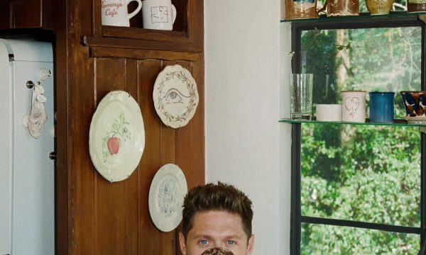 dinner party niall horan