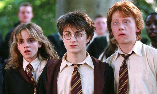 harry potter series