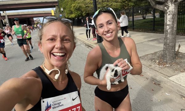 sarah bohan, chicago marathon, team paws