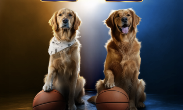 air bud golden retriever