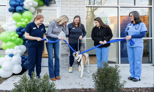 Screenshot 2025-11-21 at 11.07.28 AM