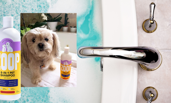 zoop shampoo, pet shampoo, dog shampoo