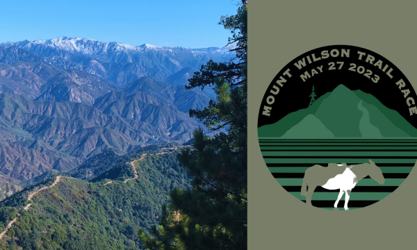 mount wilson trail race, trail race, california