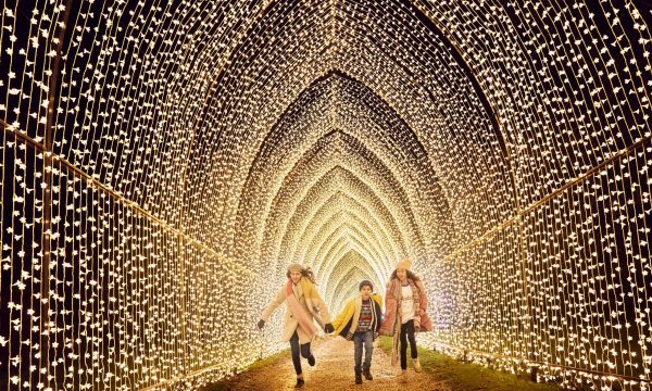 lightscape LA santa claus light show