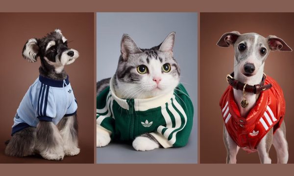 adidas pets