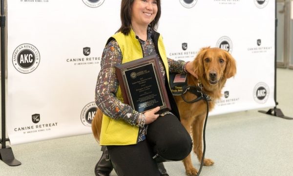 american_kennel_club