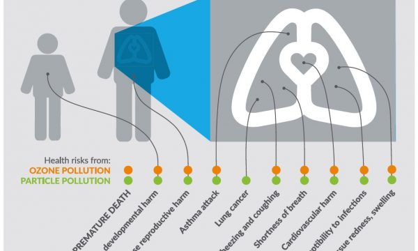 American Lung Association State of the Air Infographic