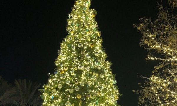 annual-tree-lighting