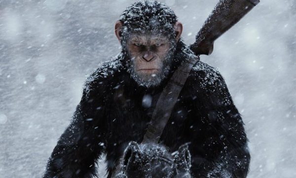 apes-1_1