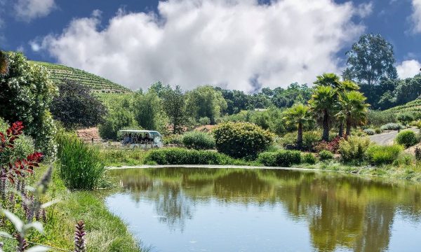 Benzinger-Family-Winery