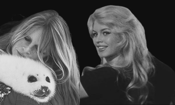 brigitte bardot