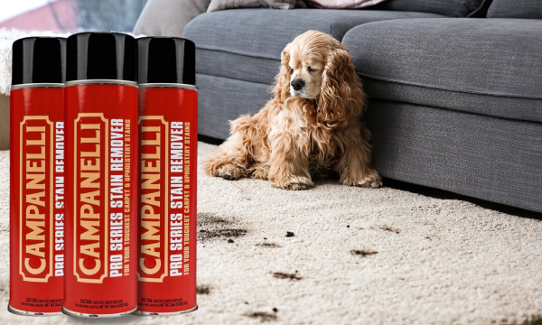 campanelli pet stain remover