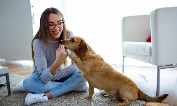 canva-woman-with-dog