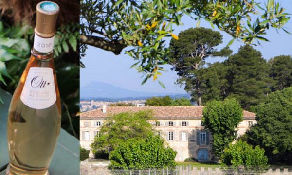 chateau_de_selle-001_edited-1