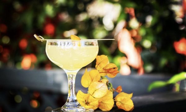 cocktail
