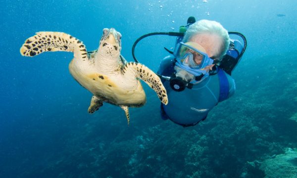 Jean-Michel Cousteau and Hawksbill Turtle