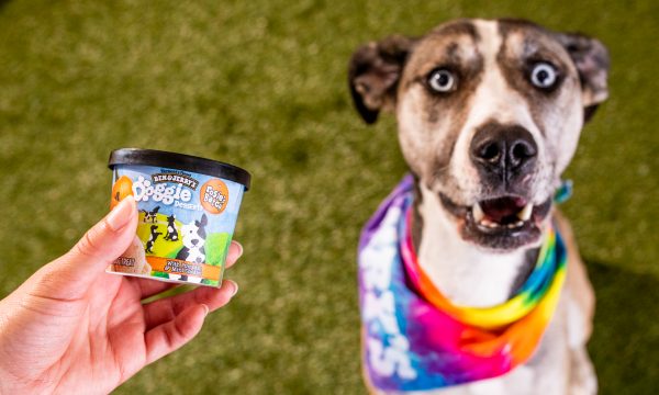 doggiedesserts0161_1609884830478-hr