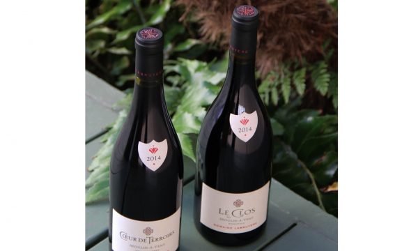 domaine-labruyere_edited-1