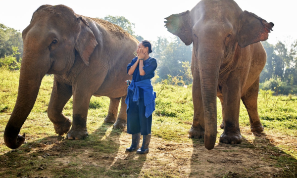 tracee ellis ross travel show