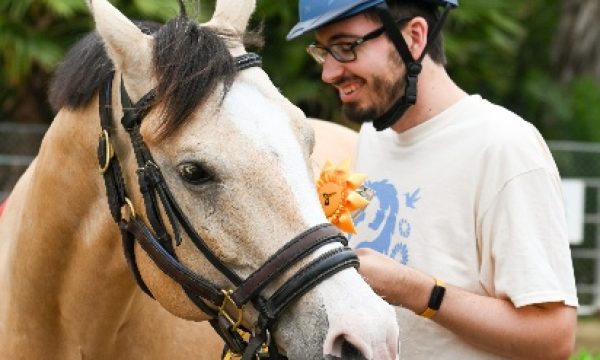 Helen Woodward Animal Center therapy horses