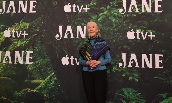 dr. jane goodall