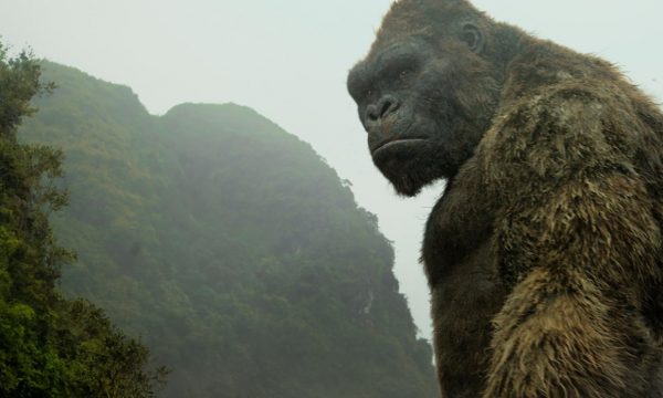 kong_1