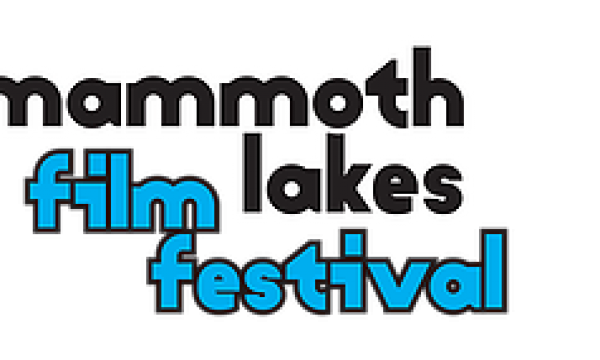 mlff19logostackedbluenoyear