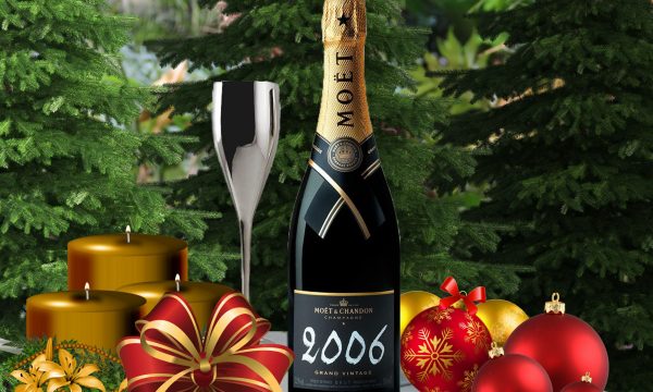 moet-2006-copy