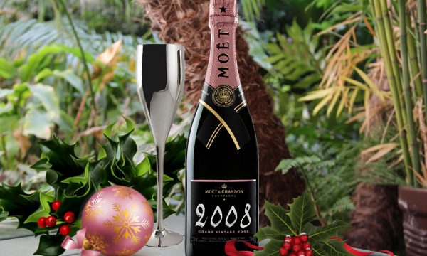 moet-2008-copy