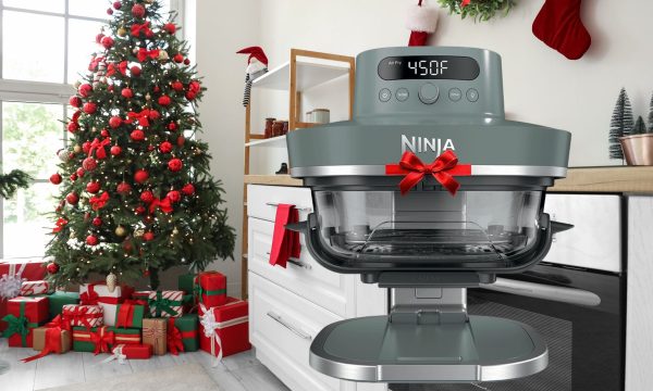 ninja crispipro airfryer