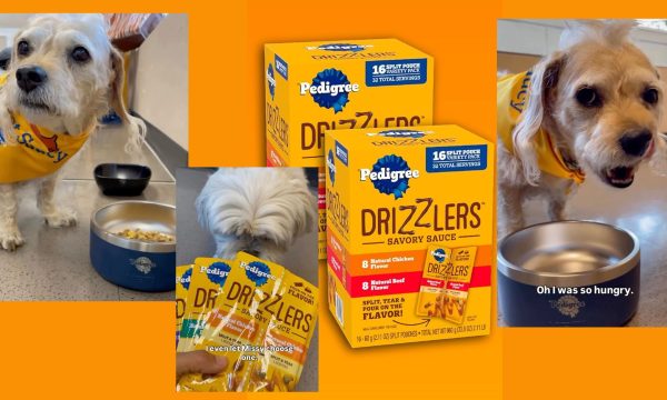 pedigree drizzlers
