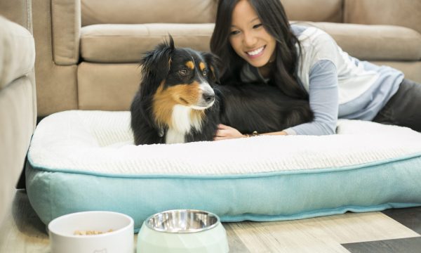 petco_pet_care
