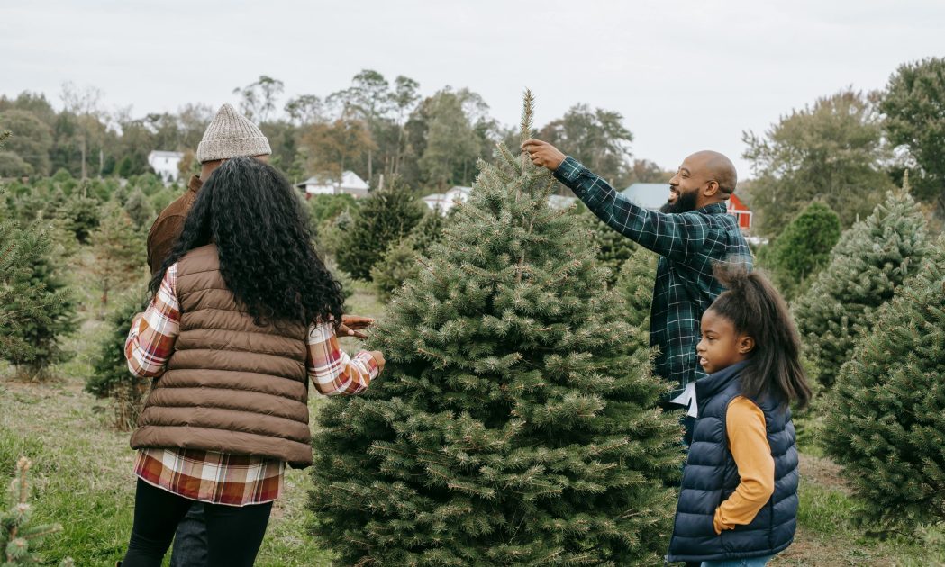 christmas tree shopping los angeles