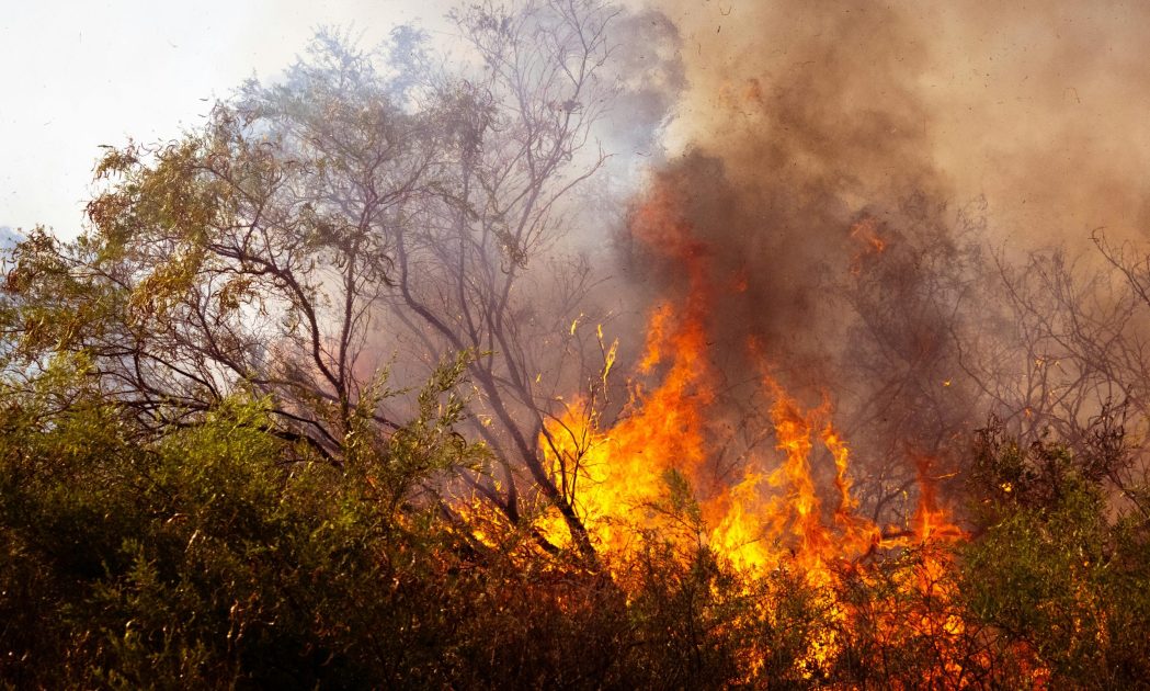 sandy fire