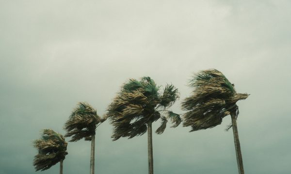 hurricane hilary, los angeles