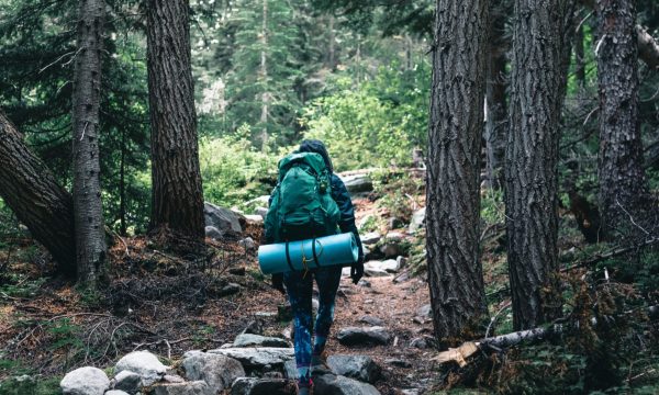 pexels-lureofadventure-10762340